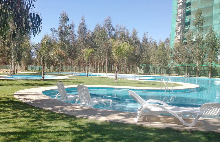 INGETASCO, PARQUE ALGARROBO